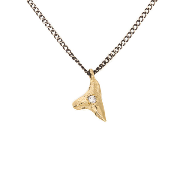 shark tooth pendant