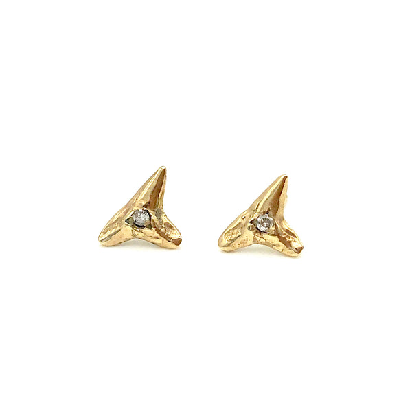 shark tooth studs